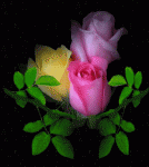     
: mir-animashki.com_1169.gif
: 3
:	123.6 
ID:	10001543