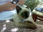     
: 03072008039.jpg
: 21
:	118.8 
ID:	1000454
