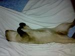     
: 30062009029.jpg
: 23
:	76.8 
ID:	1000459