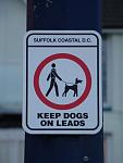     
: DSC08052 (Large).JPG
: 56
:	70.3 
ID:	10005465