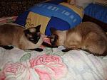     
: DSC01058_1.jpg
: 26
:	166.4 
ID:	1000573