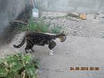     
: DSCN3577.jpg
: 14
:	140.6 
ID:	10005949