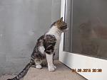     
: DSCN3579.jpg
: 8
:	138.7 
ID:	10005950