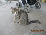    
: DSCN3574.jpg
: 11
:	129.3 
ID:	10005966