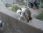     
: DSCN3576.jpg
: 11
:	132.6 
ID:	10005968