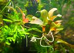     
: DSC_0704.jpg
: 22
:	132.2 
ID:	10006438
