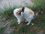     
: DSCN3589.jpg
: 12
:	136.6 
ID:	10007363