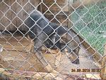     
: DSCN3584.jpg
: 8
:	134.6 
ID:	10007384