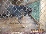     
: DSCN3585.jpg
: 8
:	131.7 
ID:	10007423