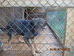     
: DSCN3583.jpg
: 6
:	136.8 
ID:	10007424