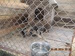     
: DSCN3582.jpg
: 8
:	133.7 
ID:	10007428