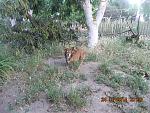     
: DSCN3581.jpg
: 7
:	131.8 
ID:	10007467