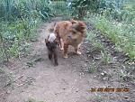     
: DSCN3591.jpg
: 6
:	133.5 
ID:	10007469