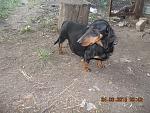     
: DSCN3594.jpg
: 7
:	132.4 
ID:	10007566