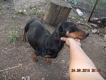     
: DSCN3593.jpg
: 8
:	141.9 
ID:	10007568