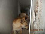     
: DSCN3598.jpg
: 5
:	132.3 
ID:	10007603