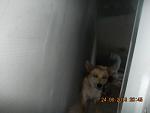     
: DSCN3600.jpg
: 1
:	134.2 
ID:	10007604