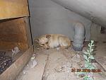     
: DSCN3590.jpg
: 3
:	133.1 
ID:	10007605