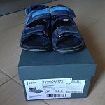     
: 4ecco.JPG
: 10
:	152.7 
ID:	10009092