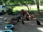     
: IMG_20150606_150639_512.jpg
: 56
:	195.4 
ID:	10011710