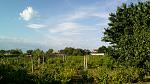     
: IMG_20150531_182431.jpg
: 42
:	174.3 
ID:	10011904