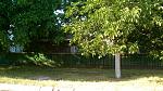     
: IMG_20150531_182224.jpg
: 35
:	219.8 
ID:	10011910