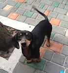     
: Ct4lOOLVGAA.jpg
: 12
:	33.9 
ID:	10013607