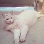     
: XtGT1tFwSro.jpg
: 8
:	143.7 
ID:	10013797
