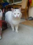     
: U1cdF_Te71w.jpg
: 8
:	95.6 
ID:	10013798