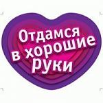     
: 5.jpg
: 89
:	10.9 
ID:	10013816