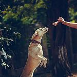    
: IMG-17.jpg
: 4
:	79.4 
ID:	10018313