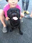     
: vnlzMf--OOU.jpg
: 8
:	64.1 
ID:	10020496