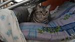     
: 20150424_141541.jpg
: 11
:	100.8 
ID:	10024376