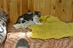     
: _DSC3470.jpg
: 8
:	133.3 
ID:	10027836