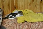     
: _DSC3509.jpg
: 13
:	137.1 
ID:	10027837