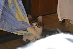     
: _DSC3686.jpg
: 11
:	70.7 
ID:	10027838