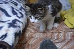     
: _DSC3661.jpg
: 6
:	129.5 
ID:	10027839