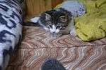     
: _DSC3659.jpg
: 10
:	176.0 
ID:	10027840
