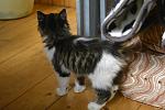     
: _DSC3627.jpg
: 9
:	106.7 
ID:	10027843