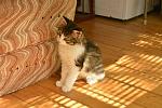     
: _DSC3609.jpg
: 15
:	146.2 
ID:	10027844