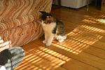     
: _DSC3607.jpg
: 17
:	157.1 
ID:	10027845