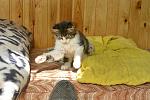     
: _DSC3477.jpg
: 9
:	136.9 
ID:	10027846