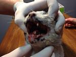     
: IMG_0706.jpg
: 14
:	90.5 
ID:	10030667