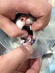     
: IMG_0724.jpg
: 16
:	85.5 
ID:	10030672