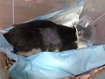     
: IMG_0719.jpg
: 12
:	130.4 
ID:	10030673