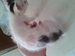     
: 2015-07-03 11.08.34.jpg
: 36
:	69.9 
ID:	10032427