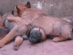     
: 5CXoXrgaTr8.jpg
: 11
:	179.2 
ID:	10037567