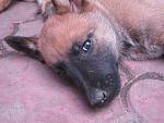     
: IMG_5447.jpg
: 8
:	168.3 
ID:	10037568