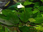     
: DSCN4370.jpg
: 64
:	111.6 
ID:	10038707