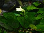     
: DSCN4373.jpg
: 49
:	97.3 
ID:	10038708
